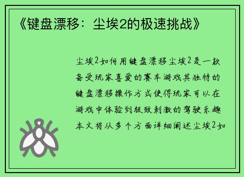 《键盘漂移：尘埃2的极速挑战》